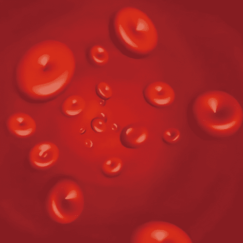 提高血氧浓度
增加氧气溶解度
                            